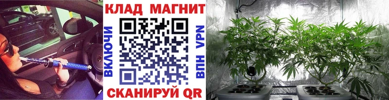 Купить закладку Каннабис  Cocaine  Амфетамин  ЭКСТАЗИ  МЕФ  Бутурлиновка